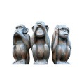 agenda.Toulouse-annuaire - L'asymtrie Thiste