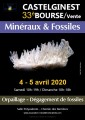 agenda.Toulouse-annuaire - 33me Bourse-vente Minraux - Fossiles, Pierres Du Bien-tre  Castelginest (31780)