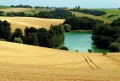 agenda.Toulouse-annuaire - Balade Gourmande En Pays Tolosan