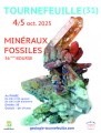 agenda.Toulouse-annuaire - 36me Bourse Aux Minraux Et Fossiles De Tournefeuille