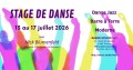 agenda.Toulouse-annuaire - Stage De Danse D'�t� Avec Nick Blumenfeld Au Dance Studio � Toulouse