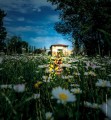 agenda.Toulouse-annuaire - Soire Spciale "cultivons-nous"