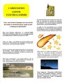 agenda.Toulouse-annuaire - Nuit Des toiles  Bonnefont