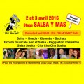 agenda.Toulouse-annuaire - Stage Et Tea Party "salsa Y Mas", Les 2 Et 3 Avril 2016  Toulouse - Maison De Quartier De Rangueil
