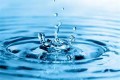 agenda.Toulouse-annuaire - La Problmatique Mondiale De L'eau En Agriculture