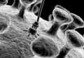agenda.Toulouse-annuaire - Nanotechnologies Connaissances Et Mconnaissances