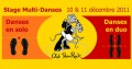 agenda.Toulouse-annuaire - Stage Multi-danses