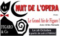 agenda.Toulouse-annuaire - La Nuit De L'opra  Gilles Ramade