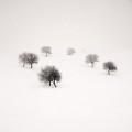 agenda.Toulouse-annuaire - Ebru Sidar Photographe
