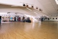 agenda.Toulouse-annuaire - Stages De Dcouverte : Rock Ou Lindy Hop Et Atelier Cabaret
