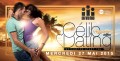 agenda.Toulouse-annuaire - Celib Dating : Reggaeton Afterwork - Mercredi 27 Mai Start 19h - El Divino