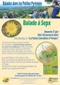 agenda.Toulouse-annuaire - Sortie Botanique : Plantes Comestibles Et Toxiques