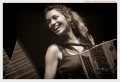 agenda.Toulouse-annuaire - Stage  Accordon Diatonique