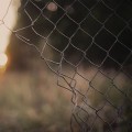 agenda.Toulouse-annuaire - Federico(s) [retirada(s)]