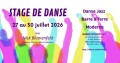 agenda.Toulouse-annuaire - Stage De Danse D'�t� Avec Nick Blumenfeld Au Dance Studio � Toulouse