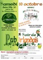agenda.Toulouse-annuaire - Soire Pub Irlandais - Aux Portes De Toulouse,  Pechabou