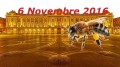agenda.Toulouse-annuaire - Premire Foire Au Miel De Toulouse