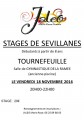 agenda.Toulouse-annuaire - Stages De Sevillanes