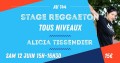 agenda.Toulouse-annuaire - Stage De Reggaeton Ts Niv.