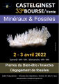 agenda.Toulouse-annuaire - 33ème Bourse Vente Minéraux, Fossiles Et Pierres Du Bien-être à Castelginest