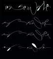 agenda.Toulouse-annuaire - Stage De Calligraphie Contemporaine Crative