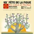 agenda.Toulouse-annuaire - Xme Fte De La Figue Aux Couleurs De L'occitanie
