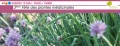 agenda.Toulouse-annuaire - Fte Des Plantes Mdicinales (3me dition)