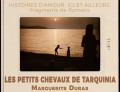 agenda.Toulouse-annuaire - "les Petits Chevaux De Tarquinia" De Marguerite Duras (festival Des Compagnies Fdres)