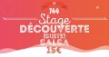 agenda.Toulouse-annuaire - Stage Dcouverte Salsa Faux Dbutants