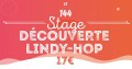agenda.Toulouse-annuaire - Stage Dcouverte De Lindy-hop Avec Vronique and Bruno