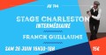 agenda.Toulouse-annuaire - Stage Charleston Intermdiaire