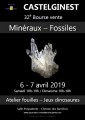 agenda.Toulouse-annuaire - 32è Bourse Vente De Minéraux Et Fossiles à Castelginest (31780)