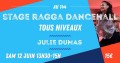 agenda.Toulouse-annuaire - Stage Ragga Dancehall Ts Niv.